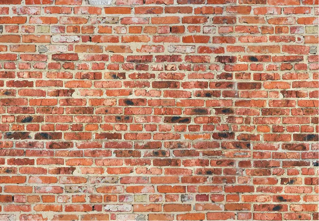 Duschrückwand