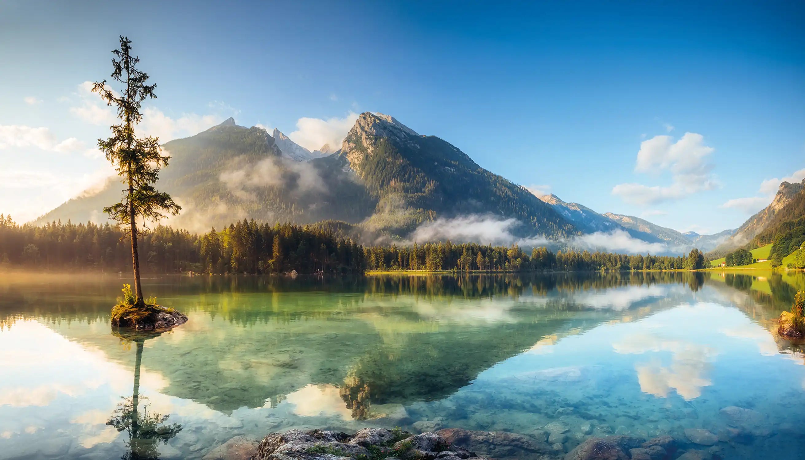 beautiful alpine lake Alpensee Nebel