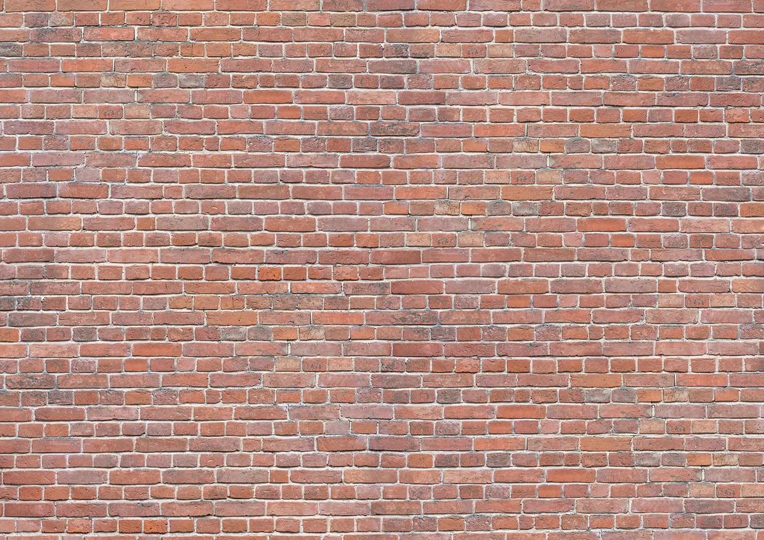 Ziegelroter Backstein Backsteinwand  Rot Wandmotiv Mauer Roter Ziegel