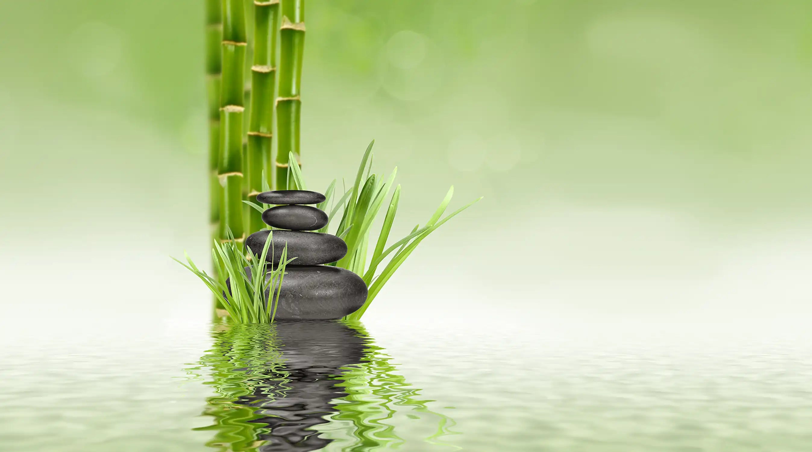 spa stones Spa Steine Wasser Gras Bambus