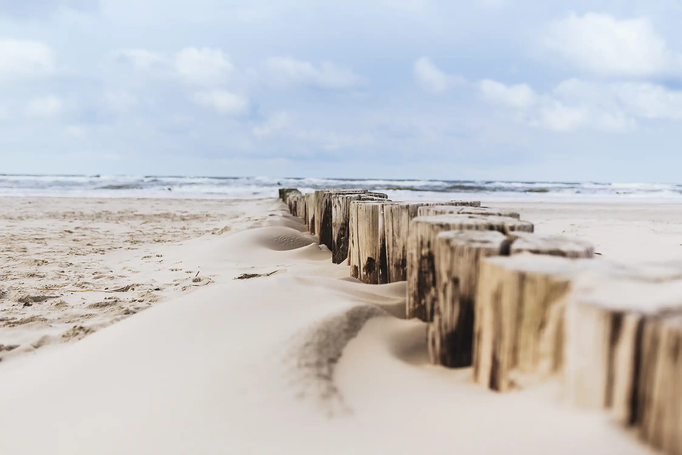 Holzbuhnen in der Ostsee als Küstenschutz, Schleswig-Holstein