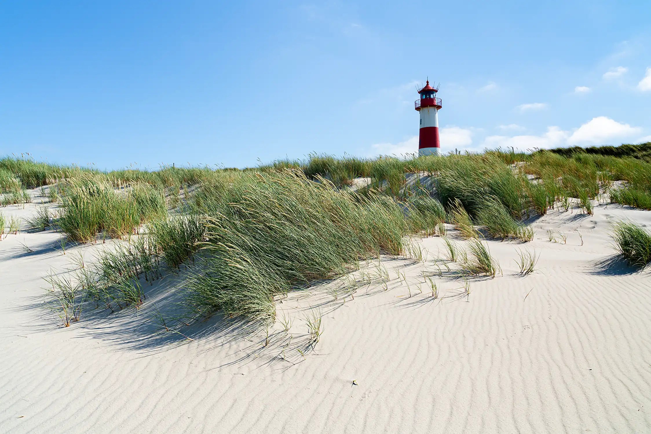 Lighthouse red white on dune. Sylt island – North Germany Leuchtturm rot weiß auf Düne. Insel Sylt – Norddeutschland