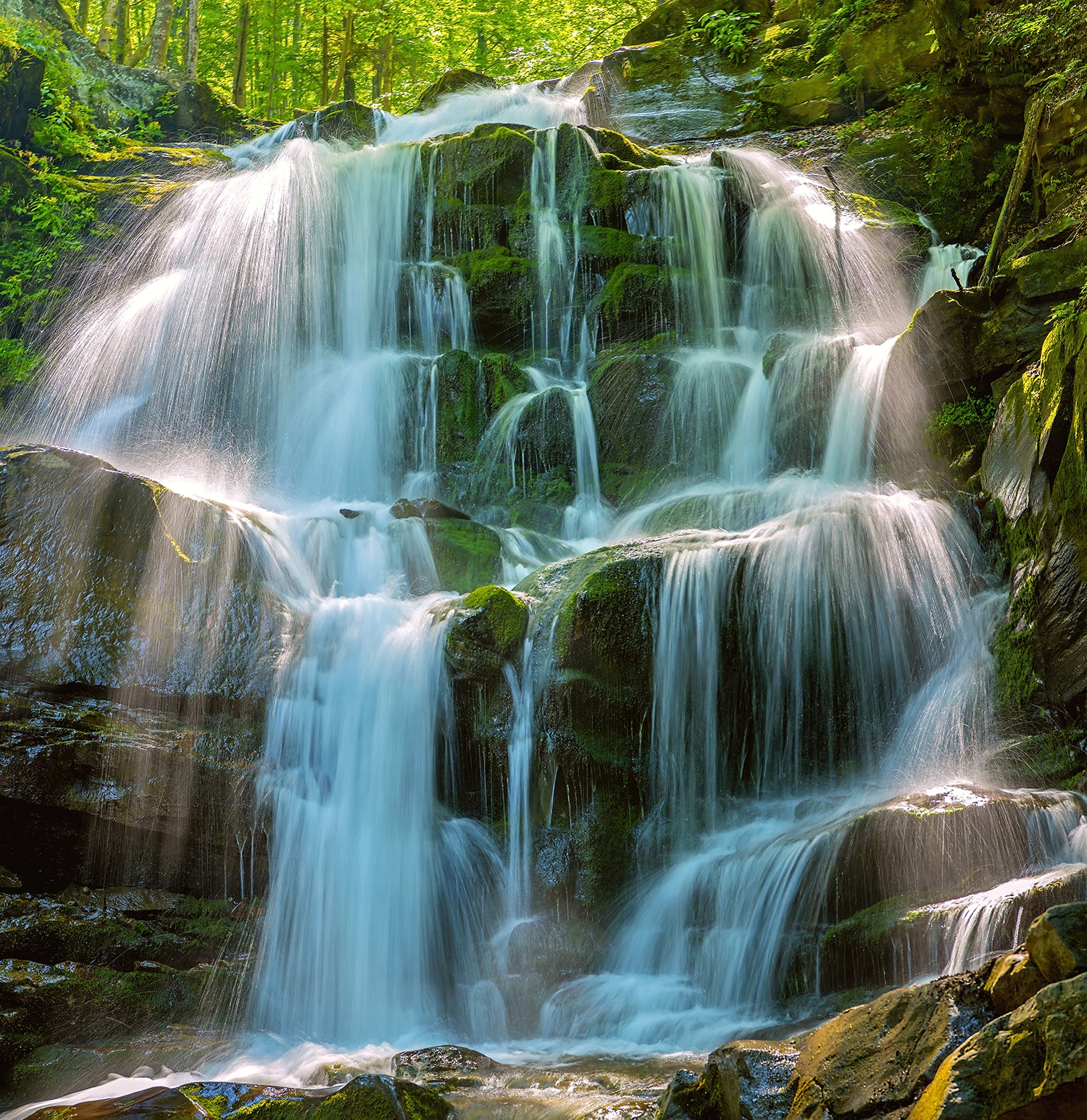 Forest waterfall Shipot. Ukraine, Carpathian mountains