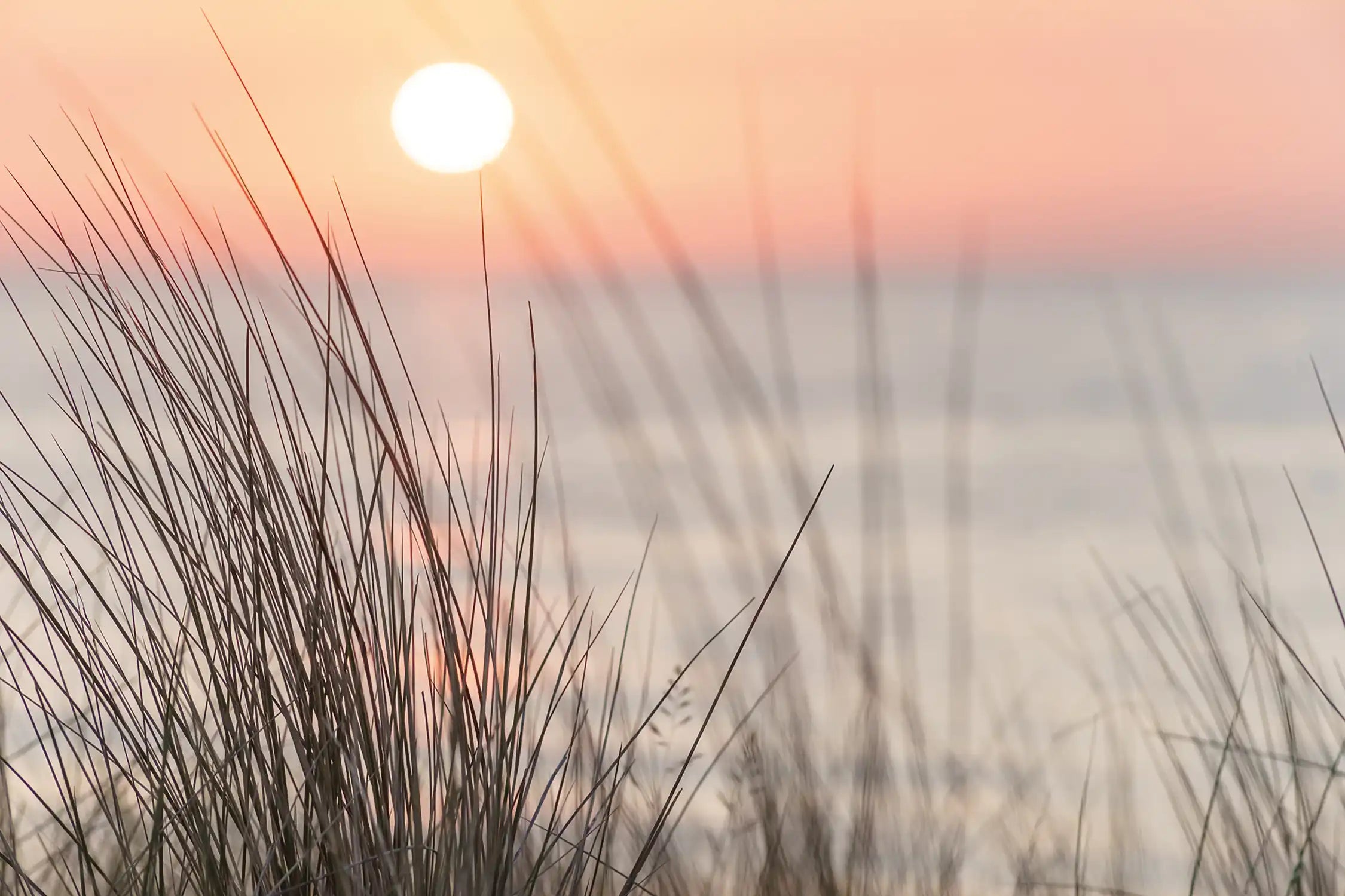 Sonnenuntergang an der Ostsee