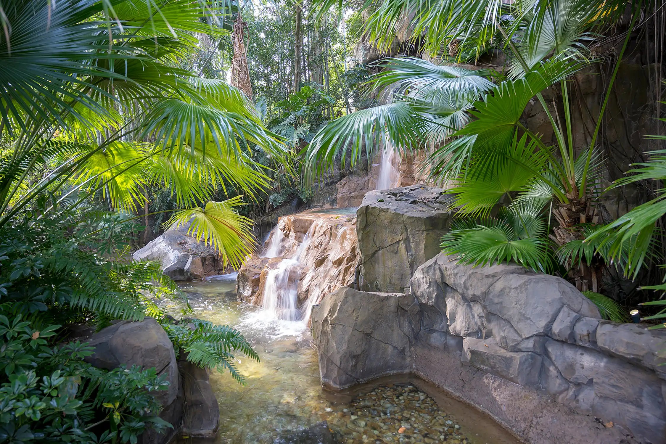 water garden