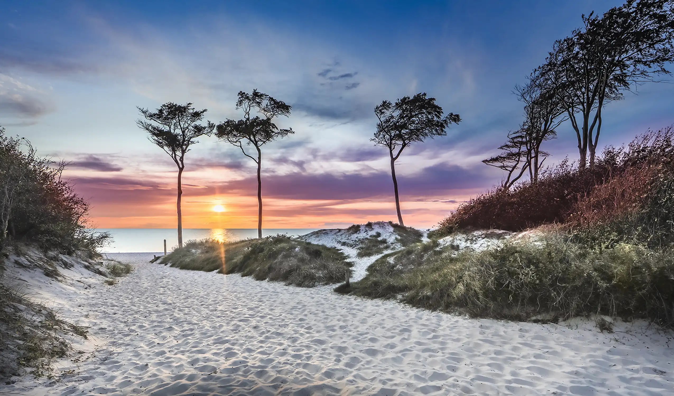 Naturlandschaft von Fischland-Darß-Zingst Ostsee Starnd Meer Küste